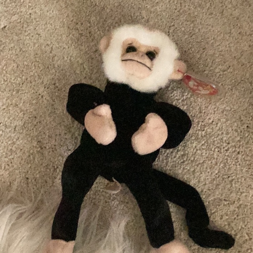 Mooch the monkey